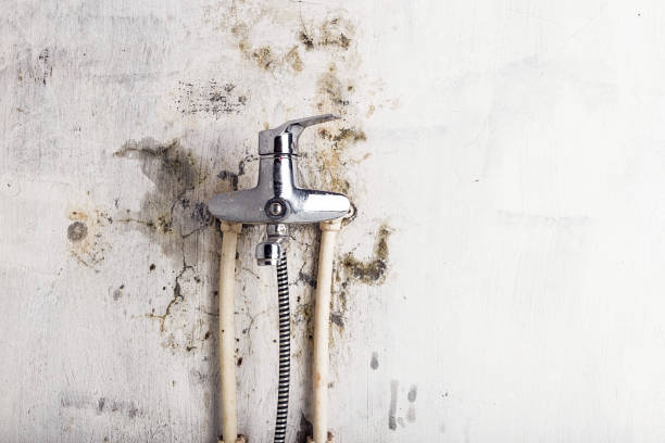 Mold Testing and Removal in Batesville, TX