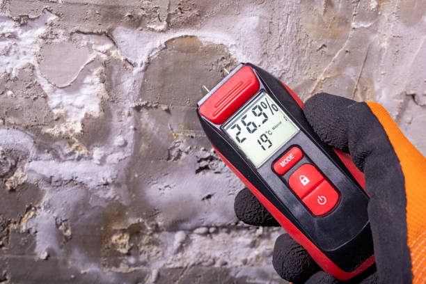 Best Mold Removal Process  in Batesville, TX
