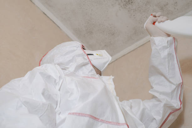 Best Attic Mold Removal  in Batesville, TX